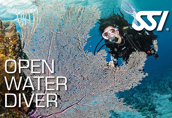 Curso Open Water Diver SSI